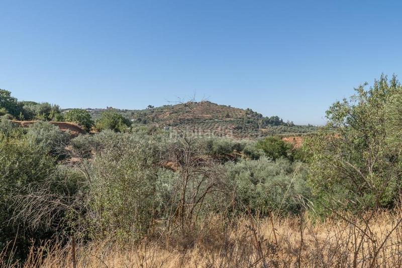 Foto a61a066c-234d-4a56-b06e-601b85bbbd36. Masía en polígono 7 paraje 143 huerta vieja 408 venta de cortijo en cogollos vega en Cogollos de la Vega