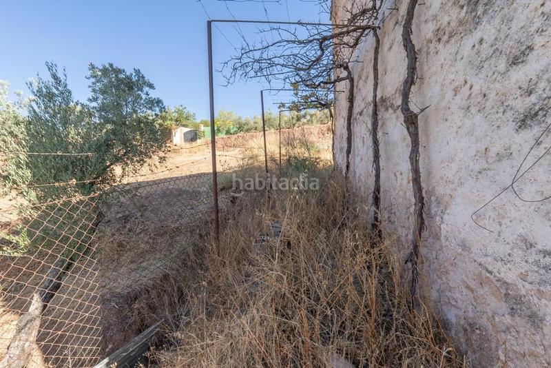 Foto aef5108a-fea2-4eaf-97d5-aeff97bccf38. Masía en polígono 7 paraje 143 huerta vieja 408 venta de cortijo en cogollos vega en Cogollos de la Vega