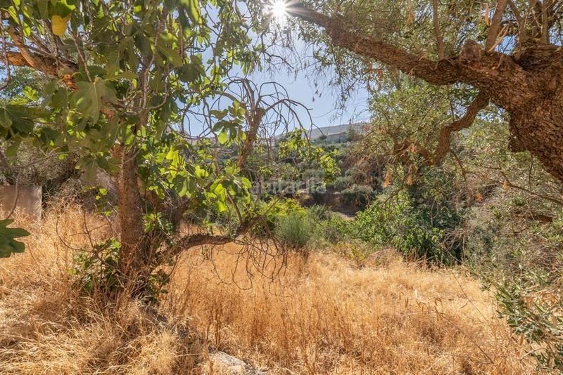 Foto bc34d5d9-c9c6-41a4-ab27-05d8b5b20e0e. Masía en polígono 7 paraje 143 huerta vieja 408 venta de cortijo en cogollos vega en Cogollos de la Vega