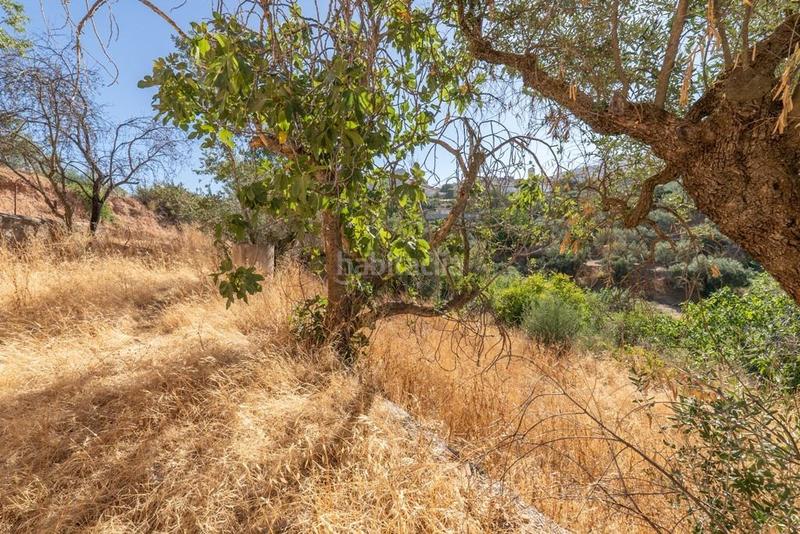 Foto be585bb5-9788-4ce4-8384-992aab8dd5c9. Masía en polígono 7 paraje 143 huerta vieja 408 venta de cortijo en cogollos vega en Cogollos de la Vega