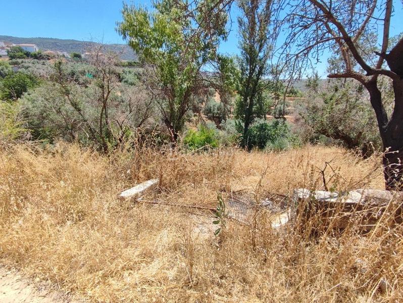 Foto c3cb6f69-207a-4649-abf4-bee93de522dc. Masía en polígono 7 paraje 143 huerta vieja 408 venta de cortijo en cogollos vega en Cogollos de la Vega