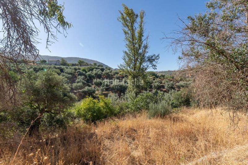 Foto d1115900-0008-49fb-8b6d-f58bd9f69e36. Masía en polígono 7 paraje 143 huerta vieja 408 venta de cortijo en cogollos vega en Cogollos de la Vega