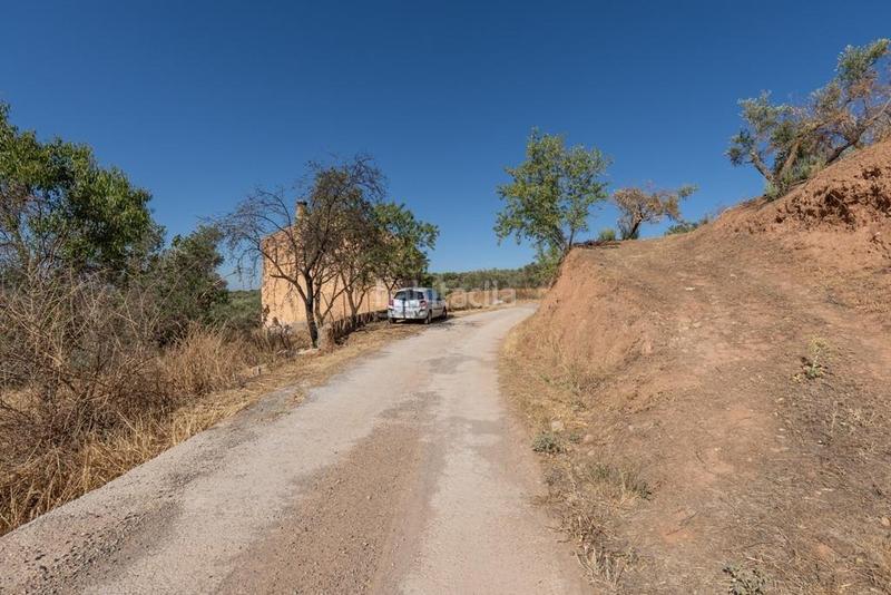 Foto d154f580-7dbc-41d1-8fcf-0218f7c32fc1. Masía en polígono 7 paraje 143 huerta vieja 408 venta de cortijo en cogollos vega en Cogollos de la Vega