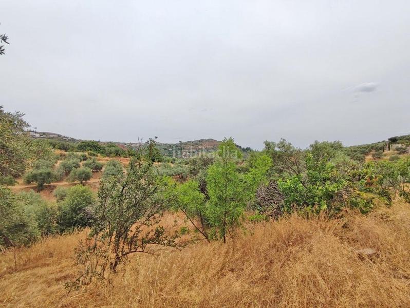 Foto d8a600c2-0914-43e3-a4cb-5543f874ccdf. Masía en polígono 7 paraje 143 huerta vieja 408 venta de cortijo en cogollos vega en Cogollos de la Vega