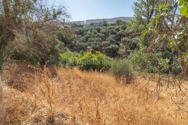 Foto db2b419c-8a90-4f77-b70c-daa38ce945ef. Masía en polígono 7 paraje 143 huerta vieja 408 venta de cortijo en cogollos vega en Cogollos de la Vega
