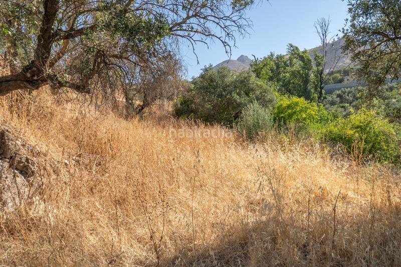 Foto e9446125-6476-4b45-a714-2cd60eda7c60. Masía en polígono 7 paraje 143 huerta vieja 408 venta de cortijo en cogollos vega en Cogollos de la Vega