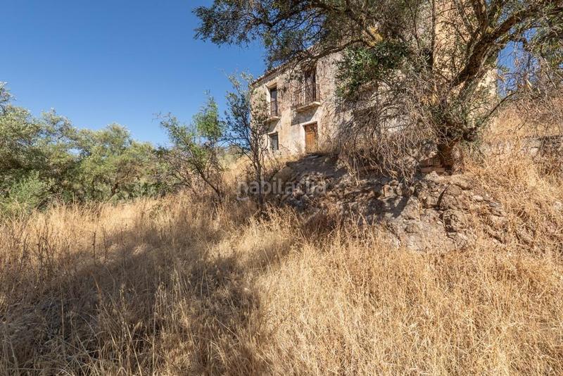 Foto ebce0eec-463a-436a-91b2-040511ab404f. Masía en polígono 7 paraje 143 huerta vieja 408 venta de cortijo en cogollos vega en Cogollos de la Vega