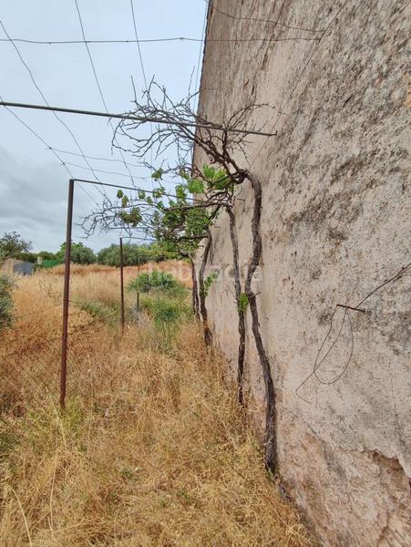 Foto f1c427d8-320a-4e14-9499-b4da1a2e2daa. Masía en polígono 7 paraje 143 huerta vieja 408 venta de cortijo en cogollos vega en Cogollos de la Vega