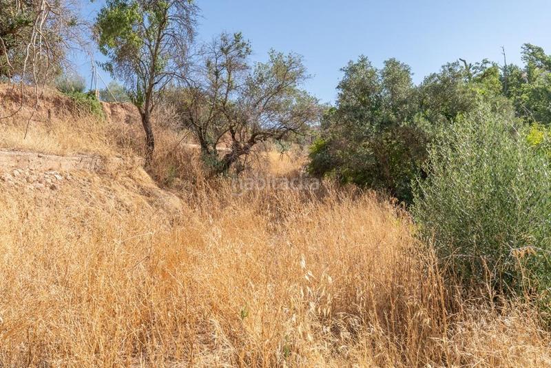 Foto f6c6ffd7-8433-4470-80df-dac141d3bbe3. Masía en polígono 7 paraje 143 huerta vieja 408 venta de cortijo en cogollos vega en Cogollos de la Vega