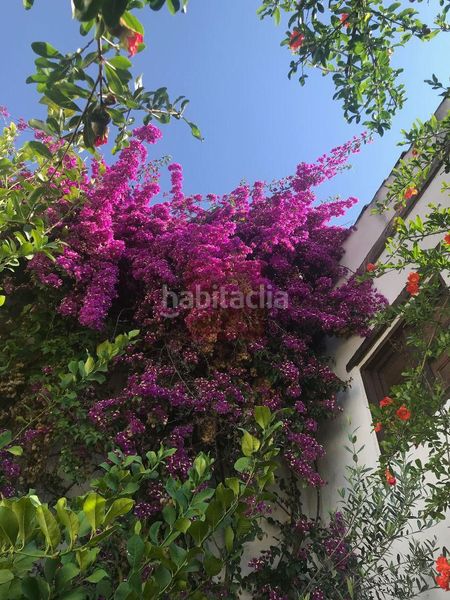 Foto 4a9e8748-2d9c-499a-894e-aaff1839c74e. Casa amb calefacció a Barrio de Albaicín Granada