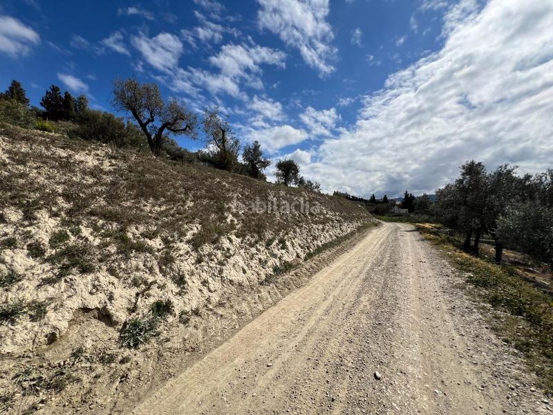 Foto 2a83e2f5-6281-4d67-8b1f-693807b9e362. Residential plot in Ayuntamiento Alhendín