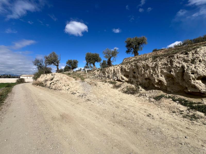 Foto 35d77d20-2ad0-4cc0-9662-d56775084fea. Residential plot in Ayuntamiento Alhendín