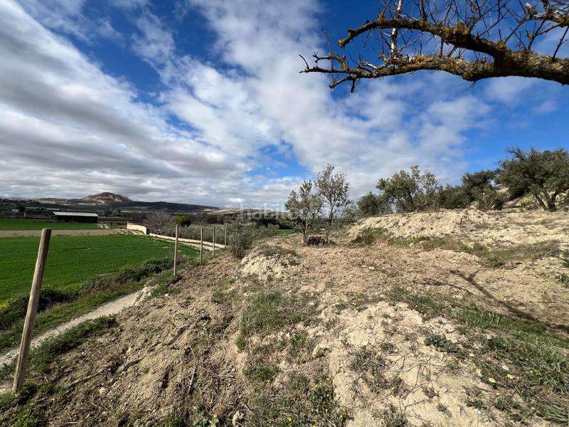 Foto 638bf91a-5441-447b-bf26-e7aed3ef79a6. Residential plot in Ayuntamiento Alhendín