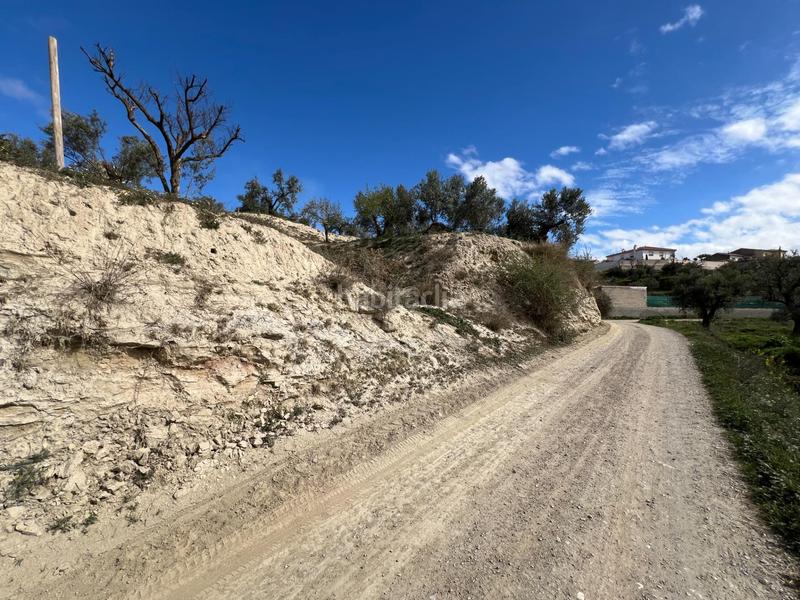 Foto b00855af-e0d0-4ce7-8de3-00b71e76b84b. Residential plot in Ayuntamiento Alhendín