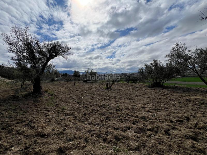 Foto d876cce9-dec4-44b6-bd49-a9e36f8d1964. Residential plot in Ayuntamiento Alhendín