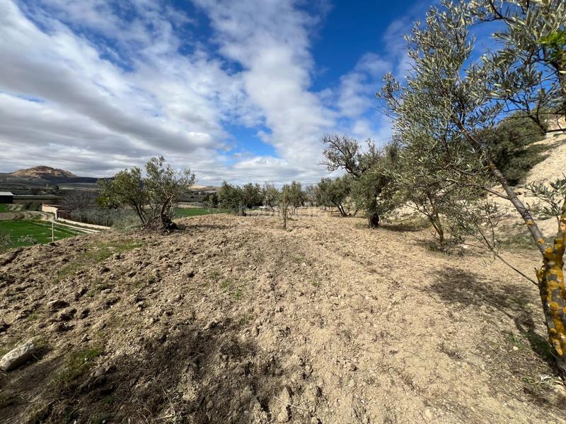 Foto d92310aa-a688-4f9d-a21a-1e6cd4b7bb81. Residential plot in Ayuntamiento Alhendín