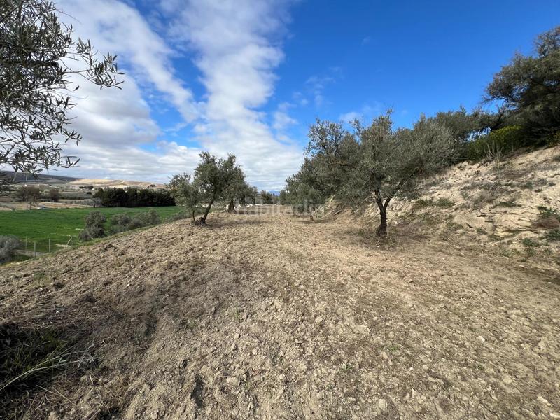 Foto e357482e-259f-49d5-b479-4739c44ef4cb. Residential plot in Ayuntamiento Alhendín