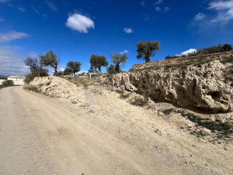 Foto 190c15d8-3496-4a81-bb9f-35688fbecf70. Residential plot in Ayuntamiento Alhendín