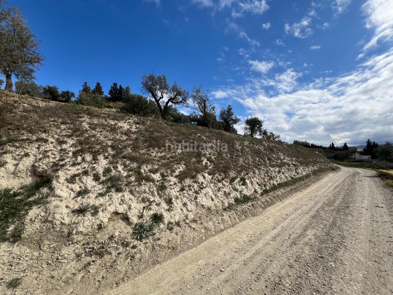 Foto 1b903488-ef9e-4cc9-b99c-0c040372eec3. Residential plot in Ayuntamiento Alhendín