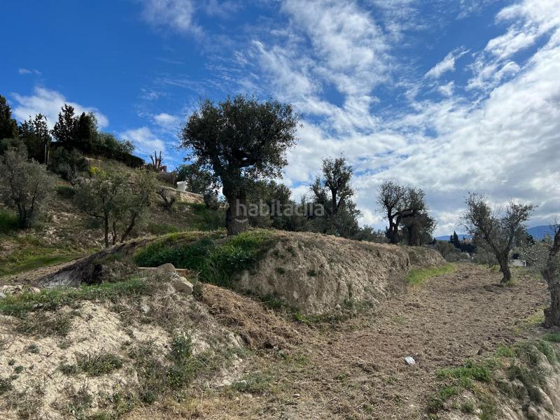 Foto 616d63c4-bed5-478c-8ff4-d8fd019e8c19. Residential plot in Ayuntamiento Alhendín