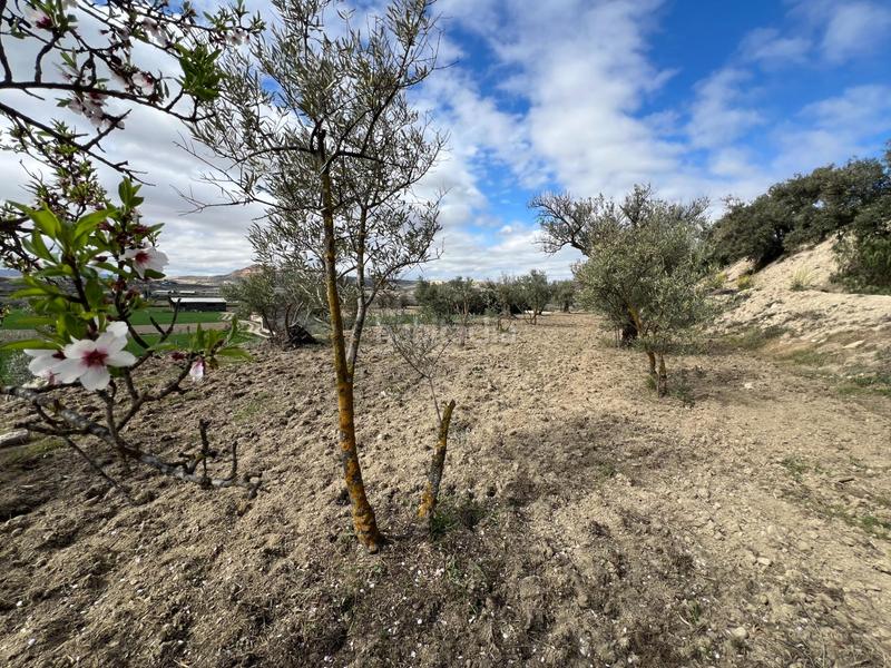 Foto 751185cb-9b50-4025-ab4d-7fa0d2ac3d9d. Residential plot in Ayuntamiento Alhendín