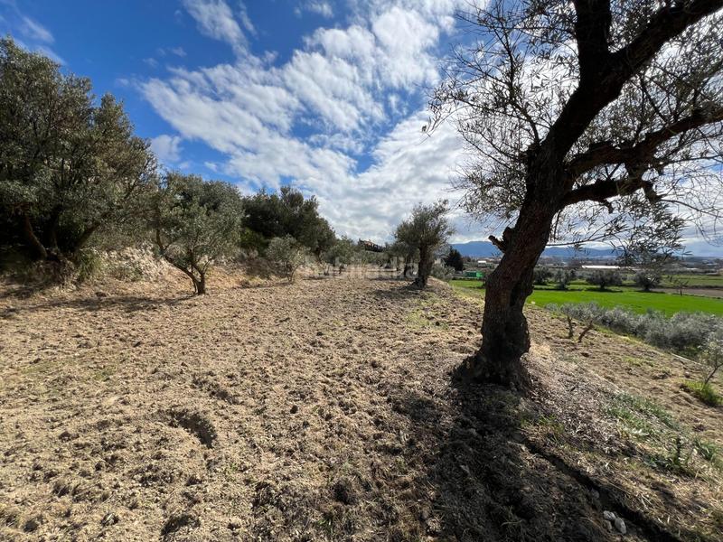 Foto 92baebfb-3257-46e5-b26a-fb2fd95ac7bb. Residential plot in Ayuntamiento Alhendín