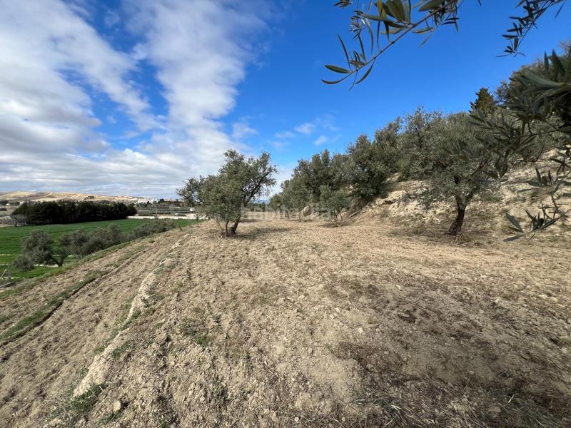 Foto 95f322d3-f4bb-4dac-864a-76b97e74b511. Residential plot in Ayuntamiento Alhendín