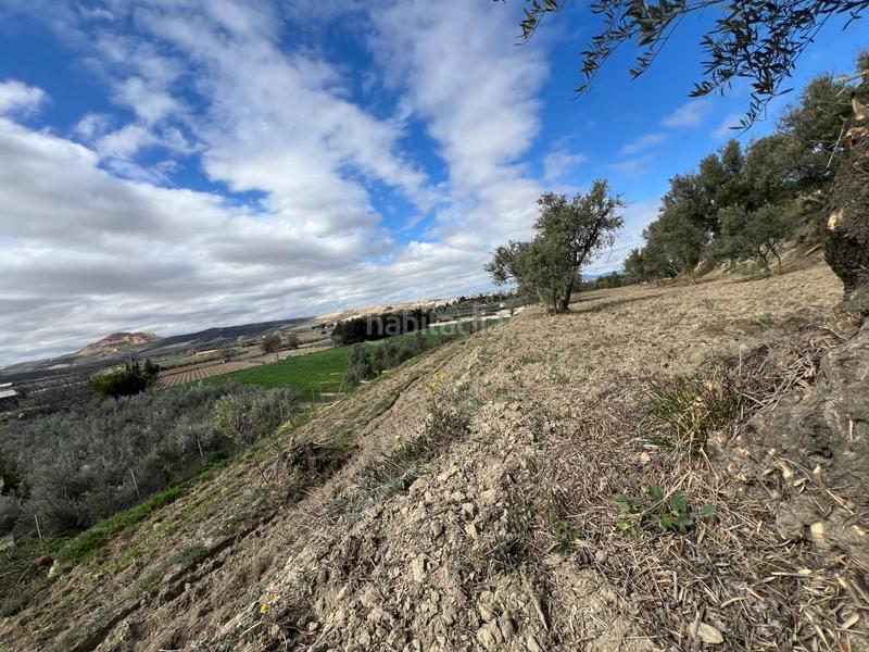 Foto 9b8d4ccc-2f51-479f-ad7b-3f3bde6087f1. Residential plot in Ayuntamiento Alhendín