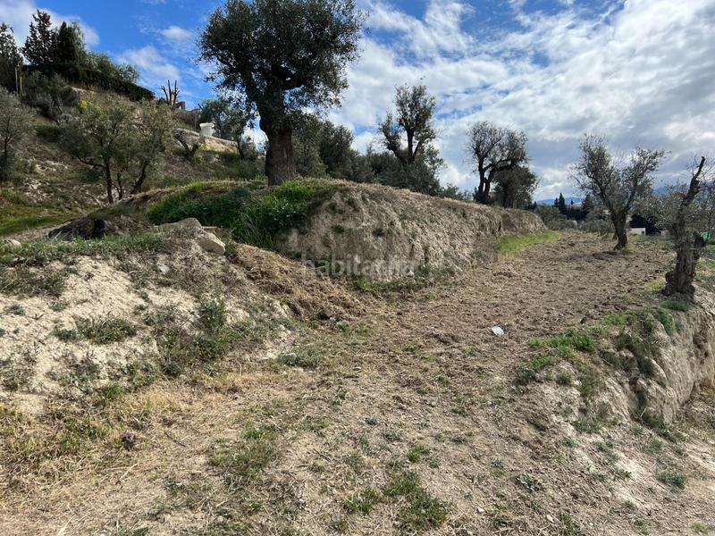 Foto 9db97cd2-6631-41b1-8bb4-27e3b542c8b2. Residential plot in Ayuntamiento Alhendín