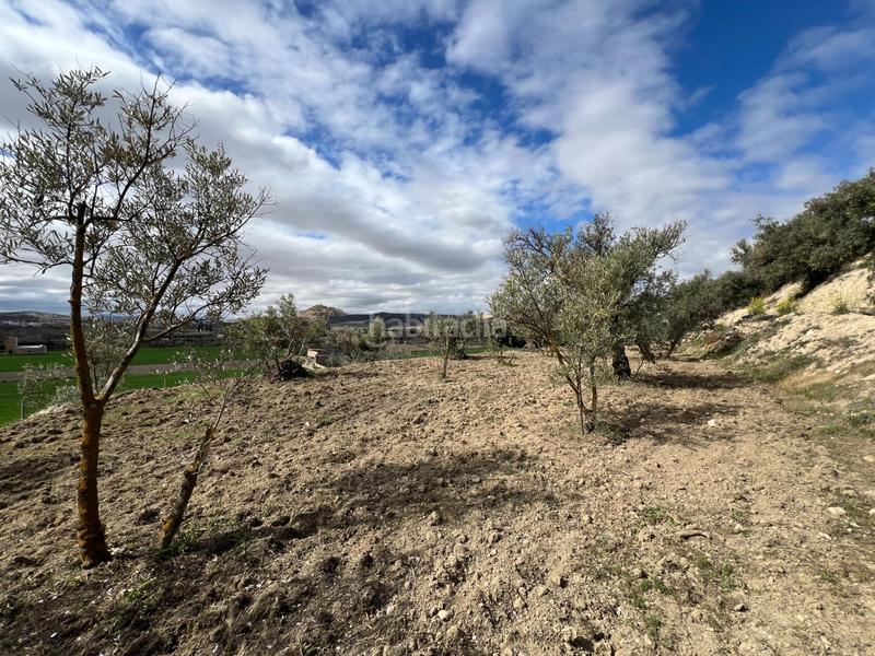 Foto b2eccd14-db6b-42ec-a2e7-6d73e866a20d. Residential plot in Ayuntamiento Alhendín