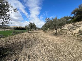 Terreno residencial  Camino suelo urb s-5. Un rincn de paz y futuro en alhendn solar urbanizable
