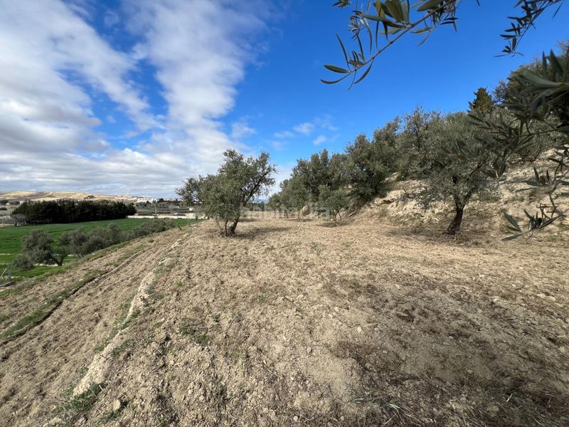 Foto f0d72730-8c4a-48ec-94e2-db8571925390. Terreny residencial a Ayuntamiento Alhendín