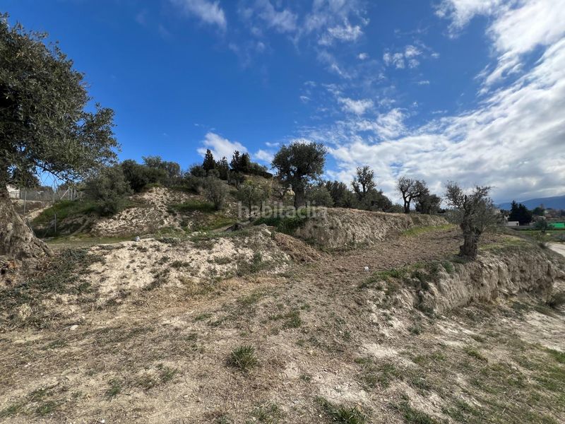 Foto f4760adc-acd0-4b59-a60d-24a5b8268e25. Terreny residencial a Ayuntamiento Alhendín