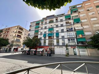 Pis a Avenida zaidin