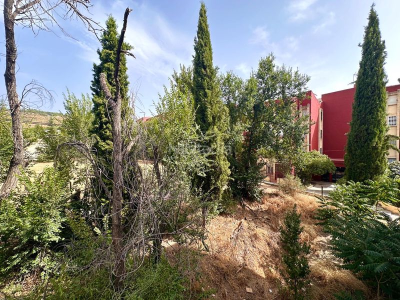 Foto b0aa744a-190c-4696-9e50-452ff973bbf5. Pis a Casería de Montijo Granada