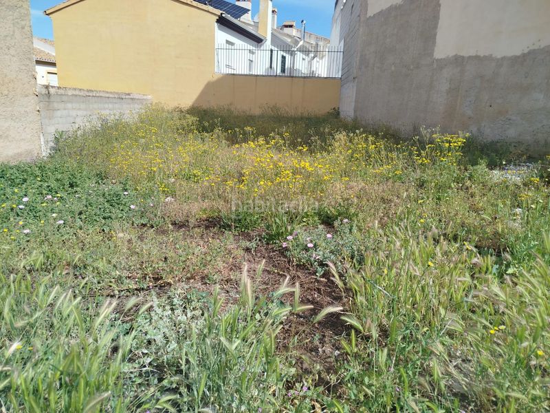 Foto c2bfcbec-7f19-45bb-834e-f878f65dd70a. Terreny residencial a Güevéjar