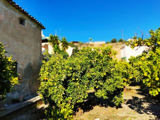 Terreny residencial a Valle (El)