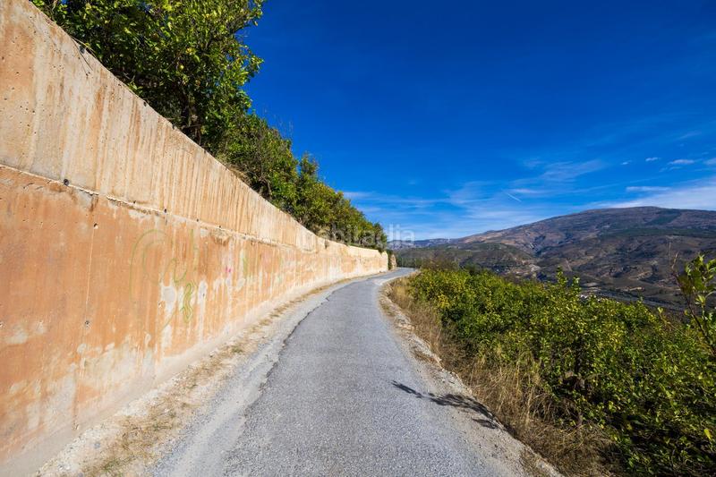 Foto 02dab8fc-510c-4b28-b110-8d57dd7e99bf. Finca rústica a Lecrín