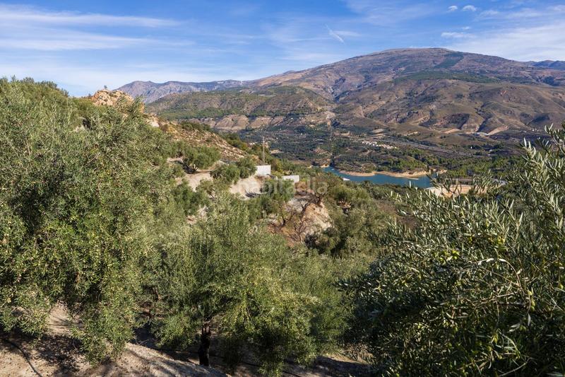 Foto 0dc49438-83b1-4099-97a8-1d112288e208. Finca rústica a Lecrín