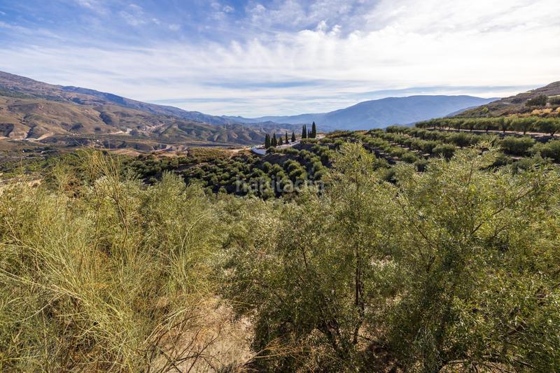 Foto 2c8c9211-b7e3-4bf7-bb0f-791519386463. Finca rústica a Lecrín