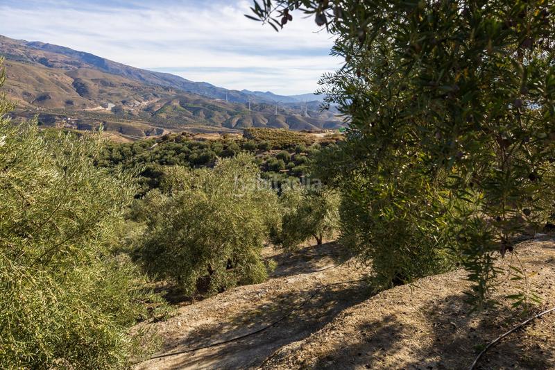 Foto 52da424e-62a7-44a0-b20d-8d925a375227. Finca rústica a Lecrín