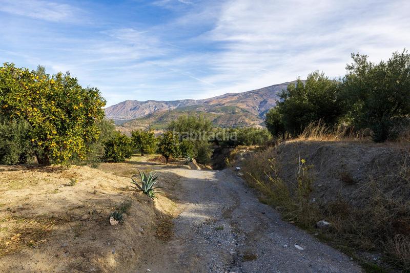 Foto 94c86f0d-ed79-4f35-9af1-c8ecff40efc3. Finca rústica a Lecrín