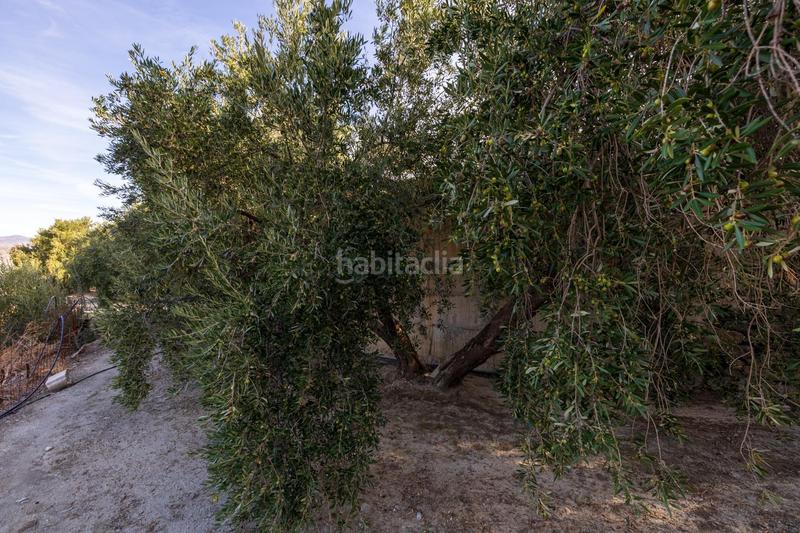 Foto ba5df2e6-55bc-4d84-9484-8c15ed69052d. Finca rústica a Lecrín