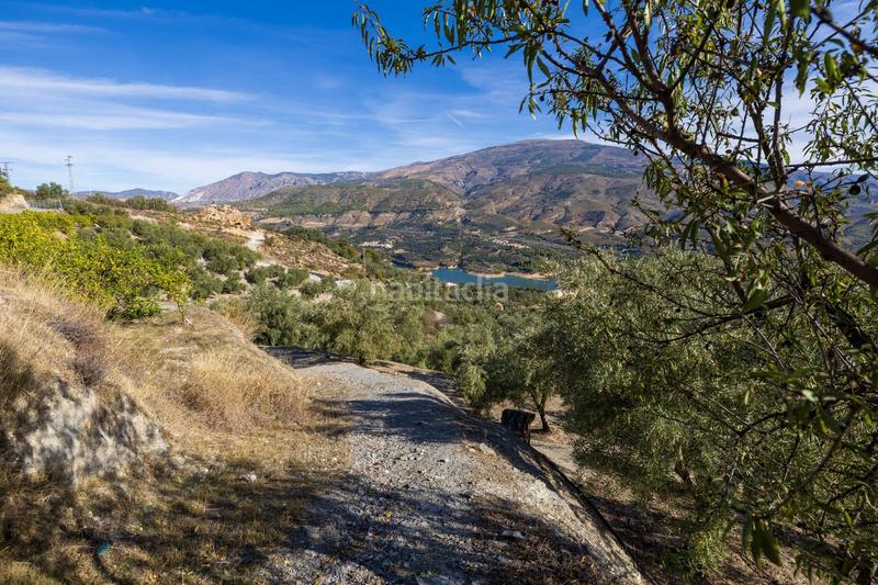 Foto c8a4fece-4a8e-4a15-be01-c22df0eb4387. Finca rústica a Lecrín