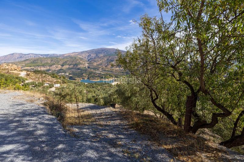 Foto d2a73f0b-3ea1-4656-bd8e-44c146f68311. Finca rústica a Lecrín