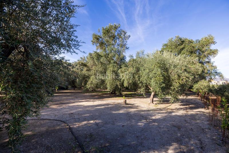 Foto f41ae8f1-8410-47a0-950b-e3cda4183147. Finca rústica a Lecrín