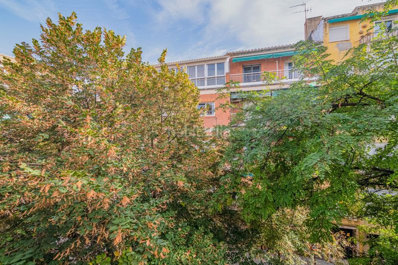 Foto 04477df0-b993-41c2-b00a-4276daa7a513. Edifici a Centro - Sagrario Granada