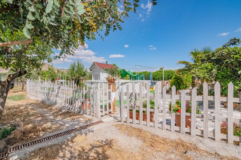 Foto 28df0866-fbe7-4bc8-a5fb-1e7cbabcbd92. Bauernhof in Pinos Puente