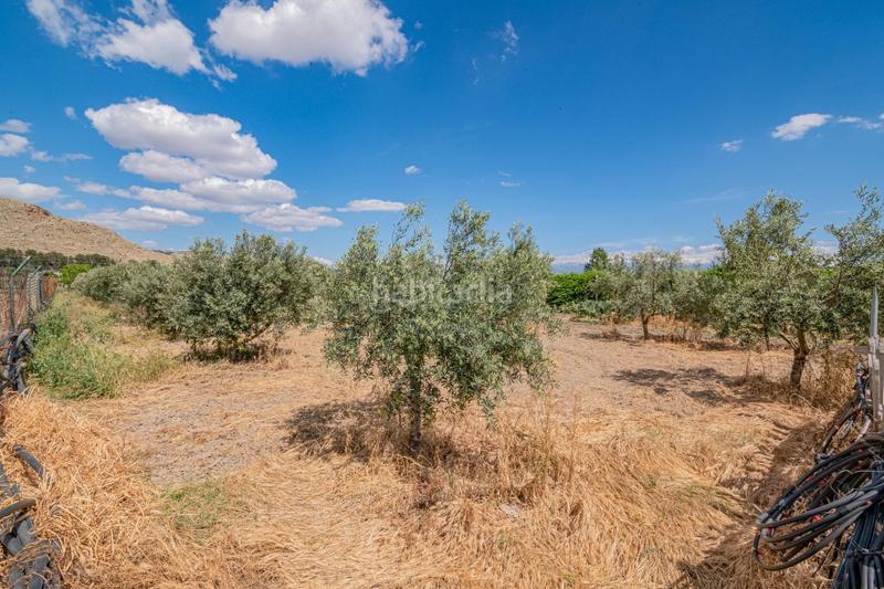 Foto 3f8025be-0190-44ab-b2db-30baa40efaec. Bauernhof in Pinos Puente