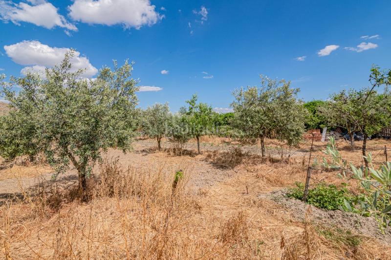 Foto 5710521f-1adf-475b-b782-338ffe697ce9. Bauernhof in Pinos Puente